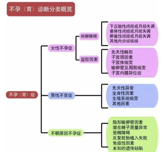 医生讲述 | 为什么检查都做了？就是怀不上！